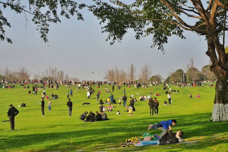 重慶中央公園，市民在草坪上曬太陽(yáng)、放風(fēng)箏。重慶日?qǐng)?bào).jpg